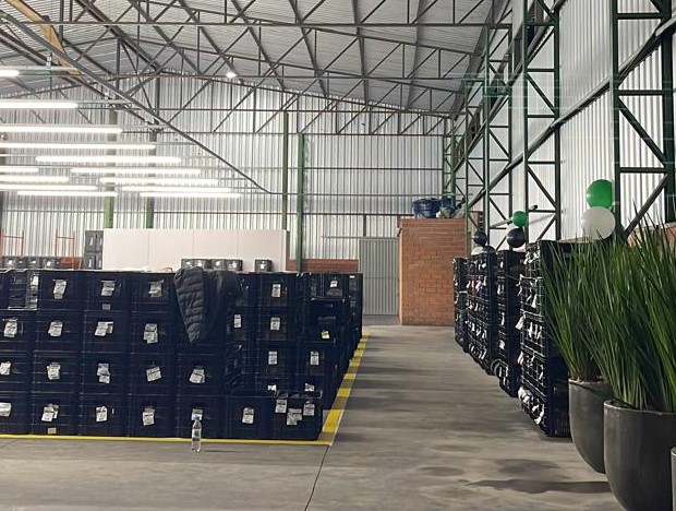 Nova fabricante de palmilhas pode produzir 40 mil pares por dia