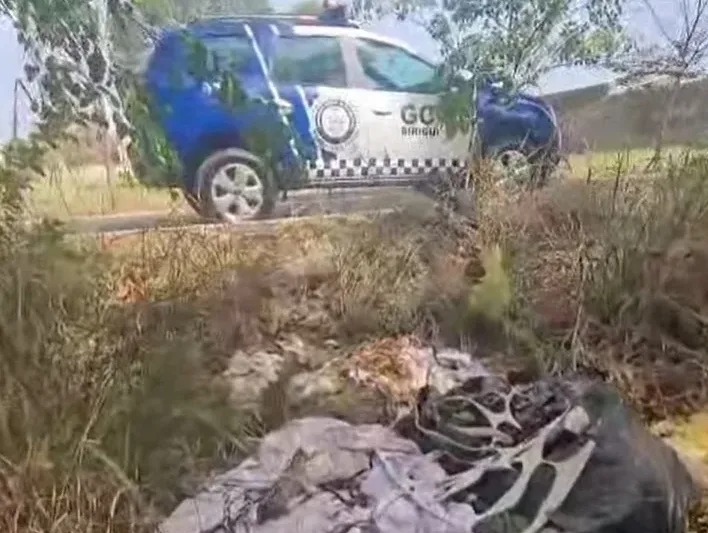 Agentes da GCM chegaram ao local do descarte após denúncia anônima