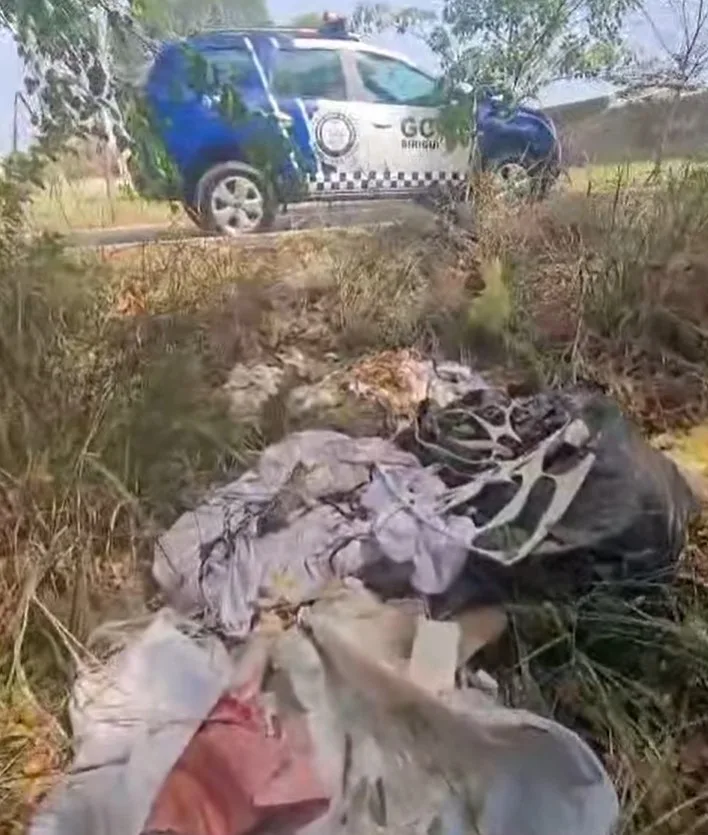 Agentes da GCM chegaram ao local do descarte após denúncia anônima