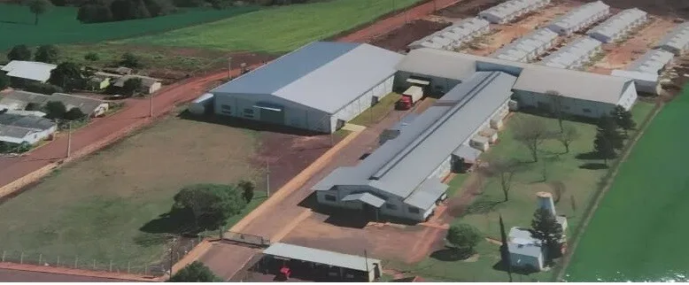 Empresas Azul Safira e LQ operavam pavilhões em Chapada/RS