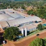 Unidade industrial do Grupo Dass em Eldorado, na Argentina
