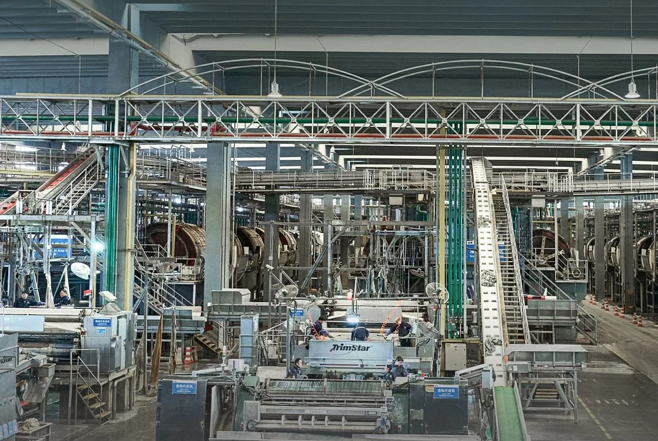 Planta de couro bovino da Henan Prosper & Colomer Moda tem capacidade para processar 10 mil metros quadrados da matéria-prima por dia
